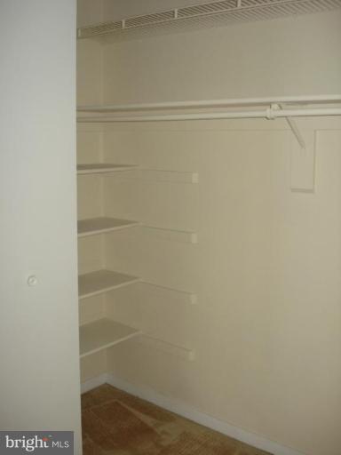 534 South Charles Street, Unit R81 Baltimore, MD 21204 - Photo 25 of 30 Closets