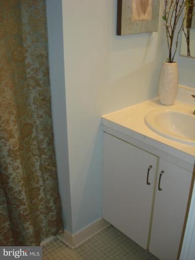 534 South Charles Street, Unit R81 Baltimore, MD 21204 - Photo 29 of 30 Master Bath