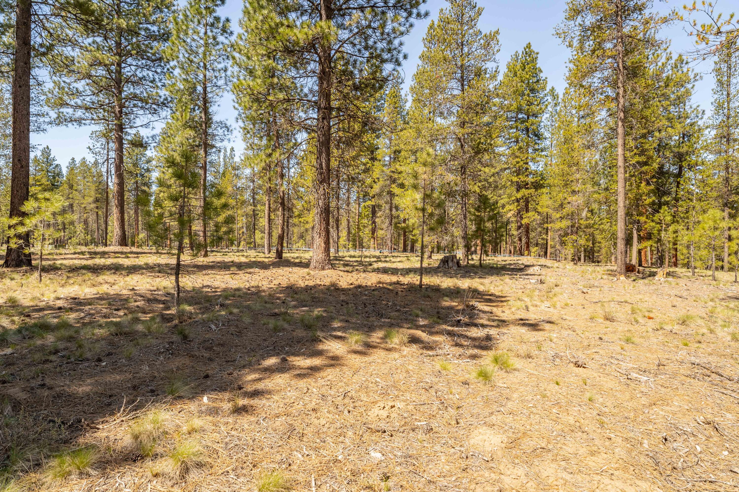 Preservation Loop Bend, Unit 471 Bend, OR 97707 - Photo 7 of 16 DSC01981-HDR
