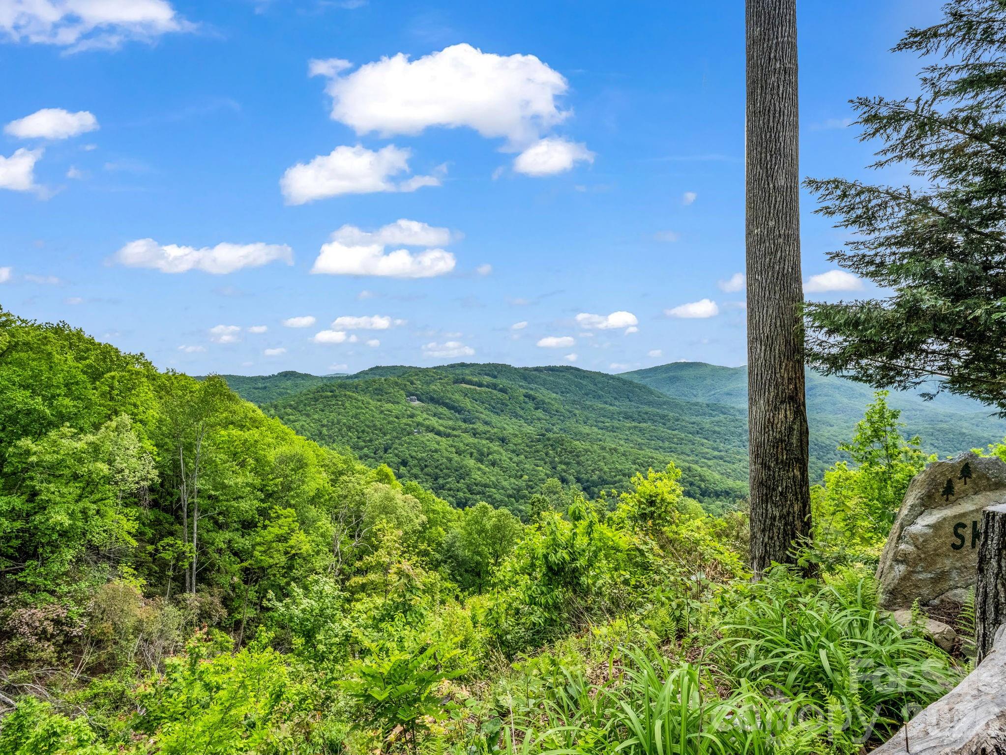 2053 Nancy Mountain Road Rosman, NC 28772 - Photo 40 of 47 a view of a green yard
