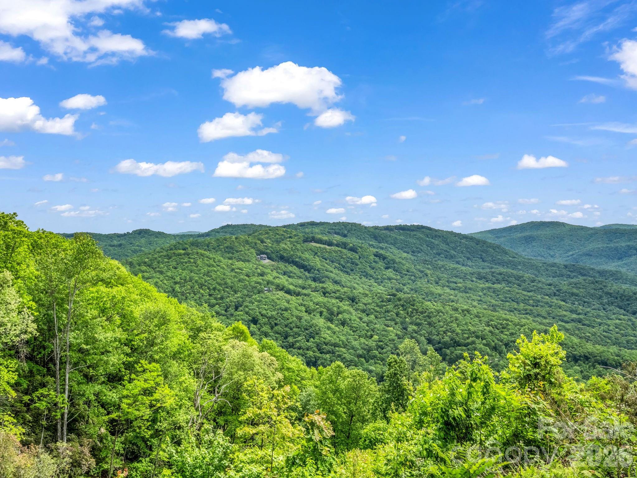 2053 Nancy Mountain Road Rosman, NC 28772 - Photo 41 of 47 a view of a lush green space