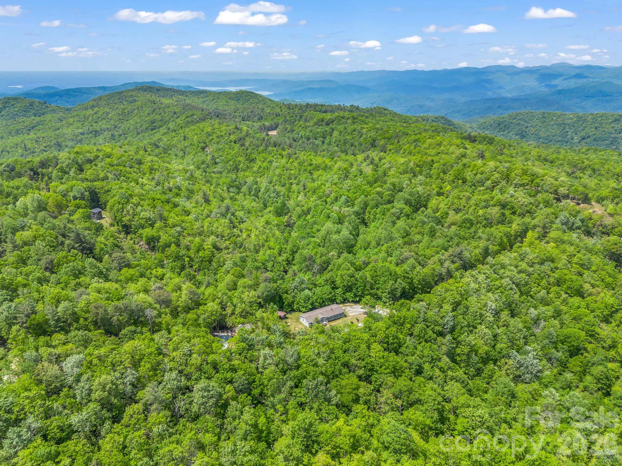 2053 Nancy Mountain Road Rosman, NC 28772 - Photo 44 of 47 a view of a big yard with lots of green space