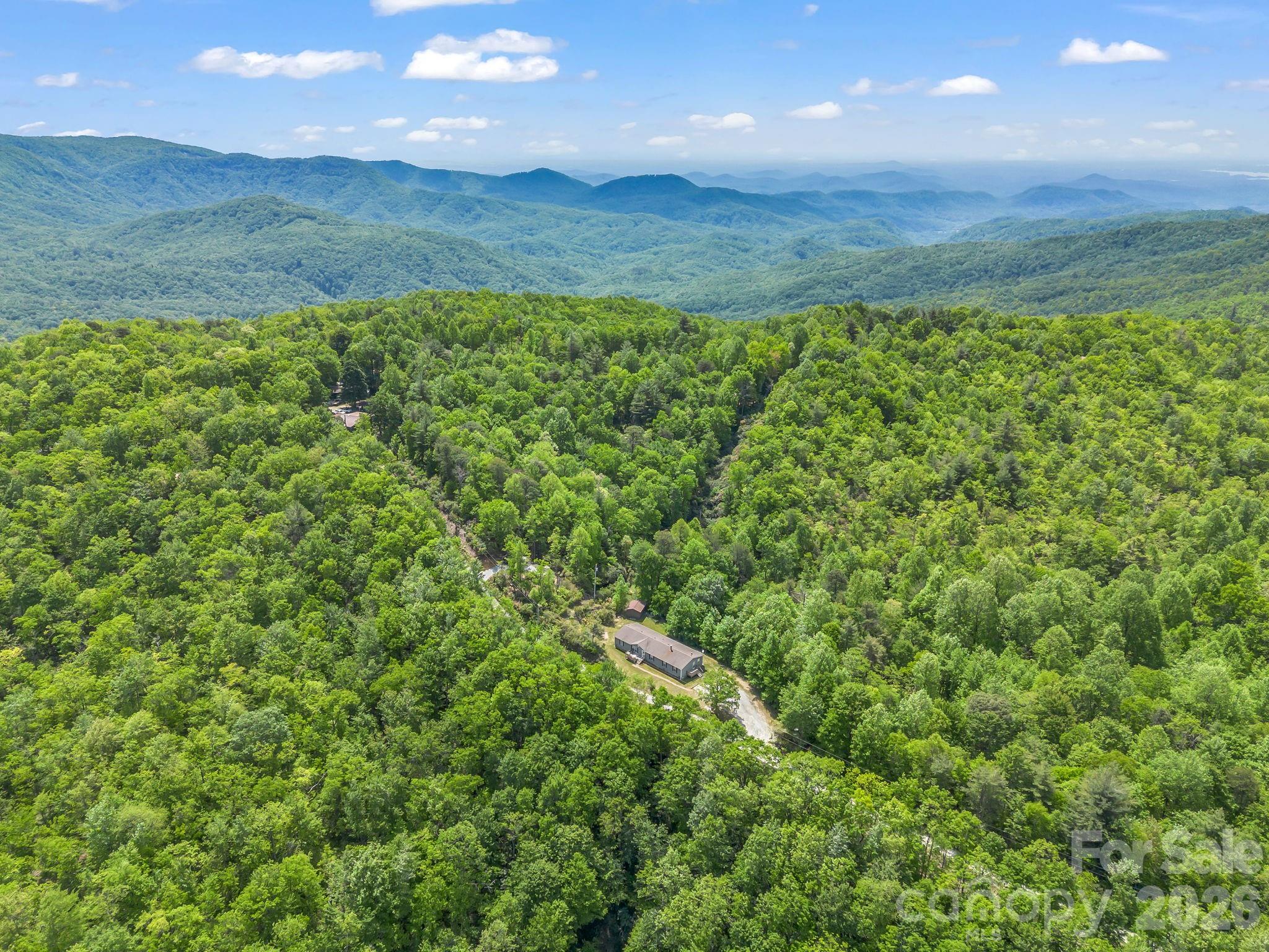 2053 Nancy Mountain Road Rosman, NC 28772 - Photo 45 of 47 a view of a big yard with lots of green space