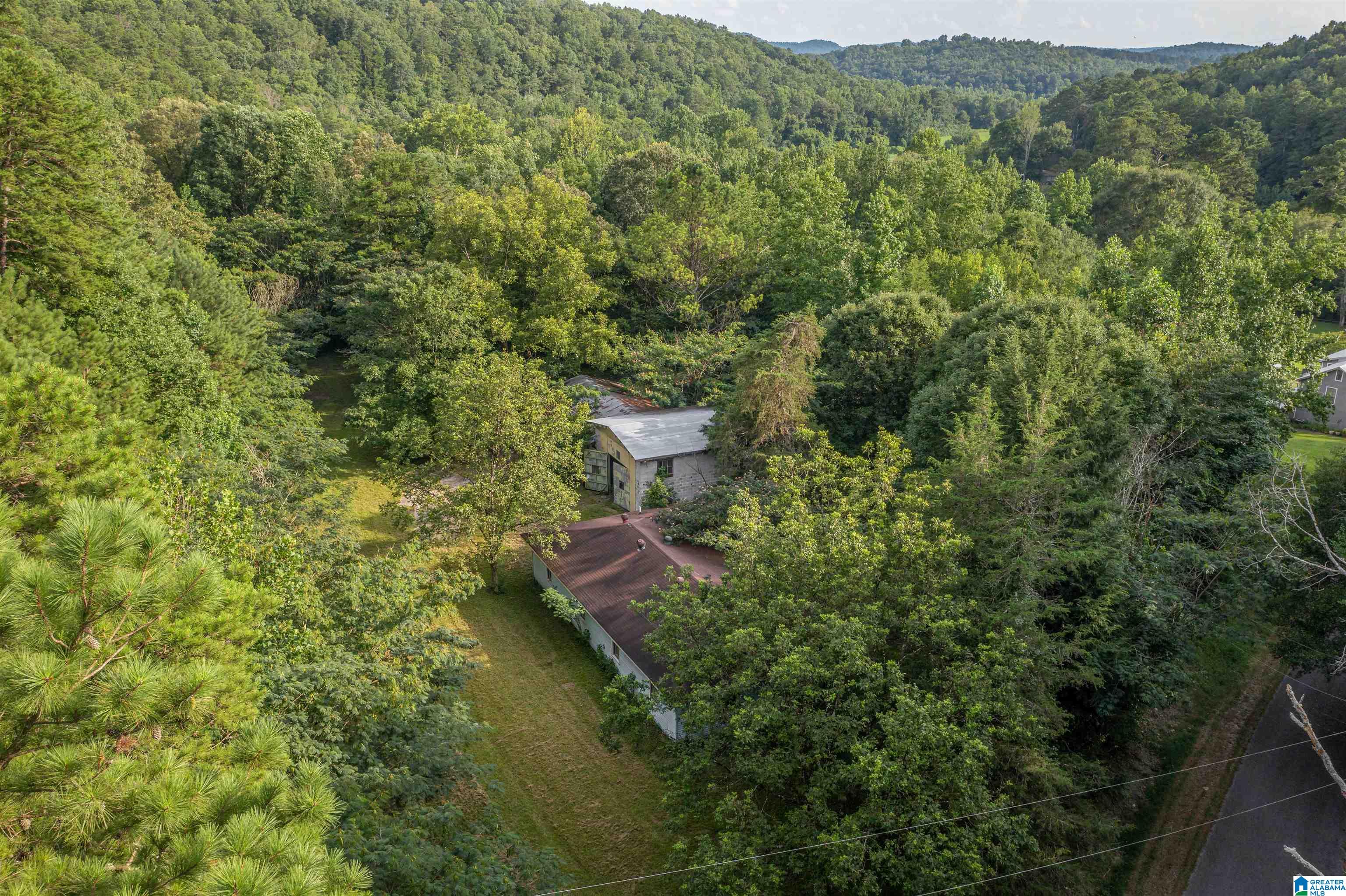 160 Mill Hill Road Attalla, AL 35954 - Photo 16 of 26