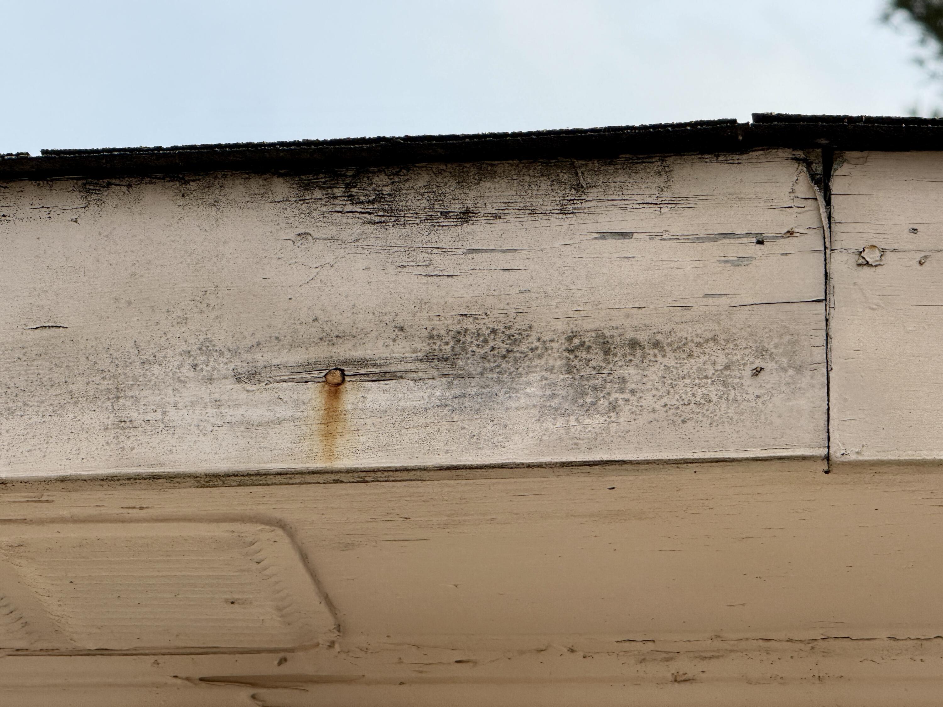 2603 Crosscreek Road Hephzibah, GA 30815 - Photo 5 of 36 IMG_8331