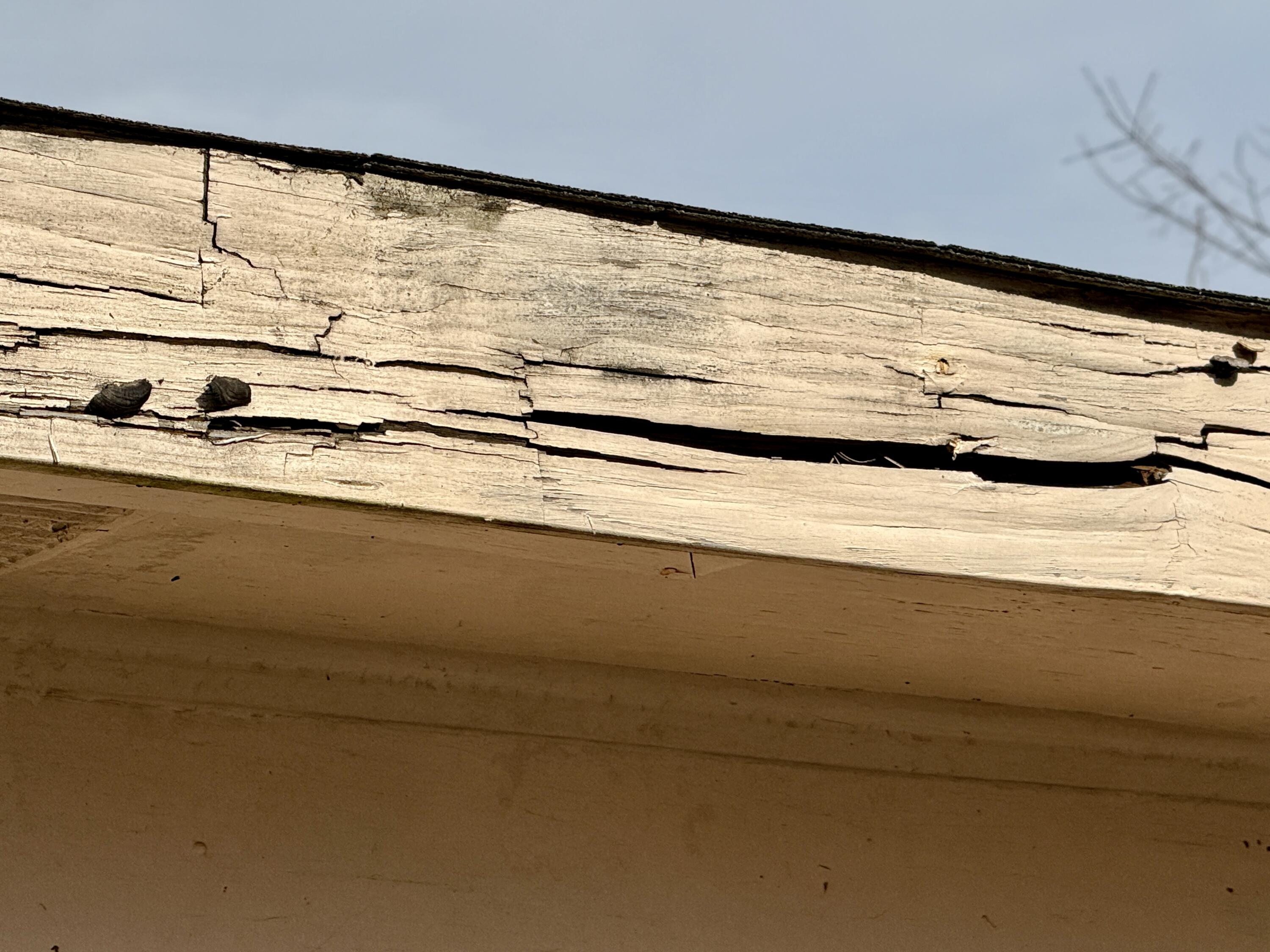 2603 Crosscreek Road Hephzibah, GA 30815 - Photo 6 of 36 IMG_8332