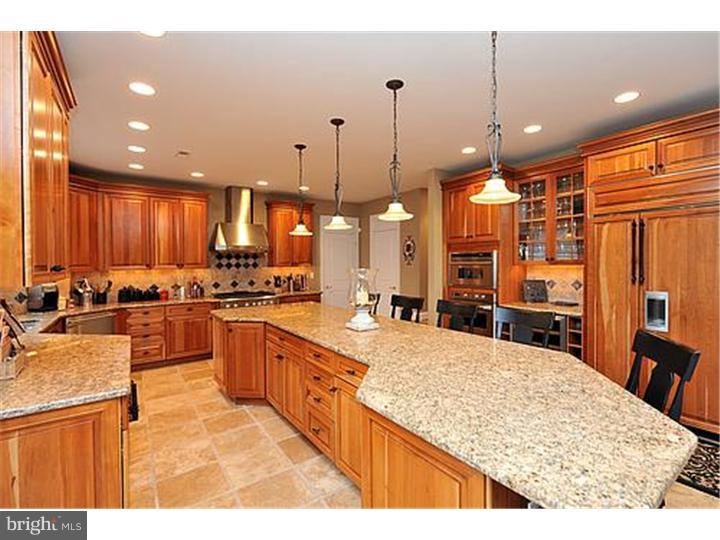 74 Norristown Road Blue Bell, PA 19422 - Photo 11 of 24 Kitchen