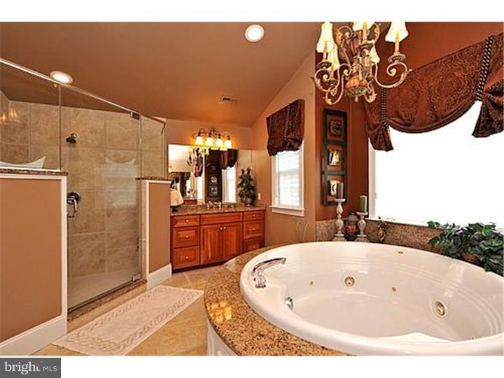 74 Norristown Road Blue Bell, PA 19422 - Photo 18 of 24 Master Bathroom