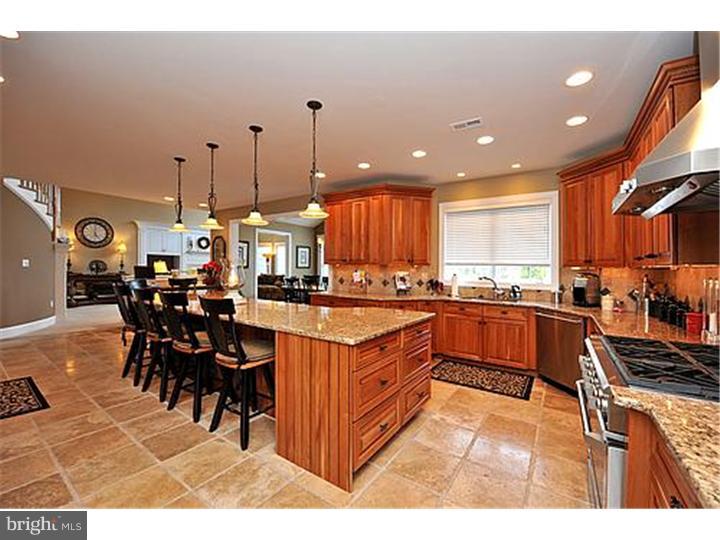 74 Norristown Road Blue Bell, PA 19422 - Photo 9 of 24 Kitchen