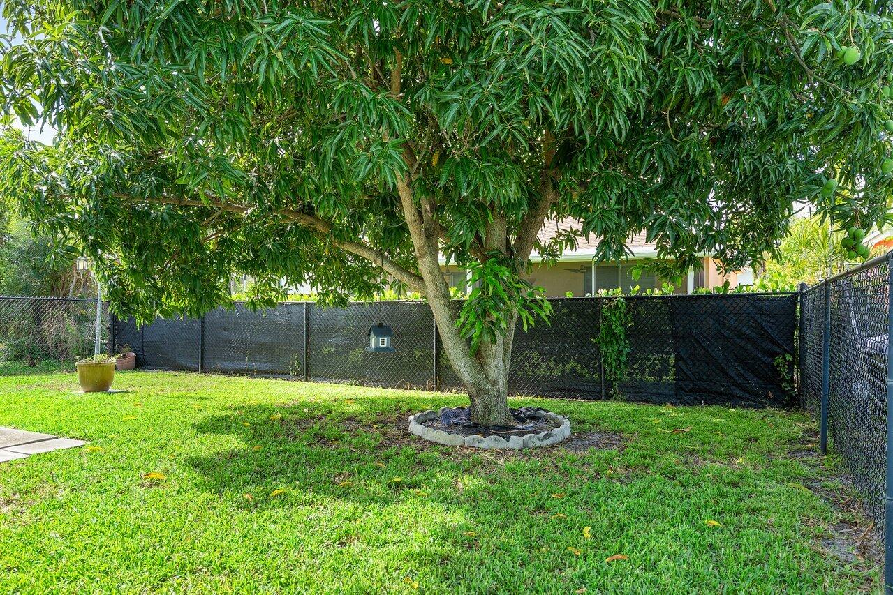177 Heming Way Boynton Beach, FL 33426 - Photo 22 of 22 a view of a garden with a tree