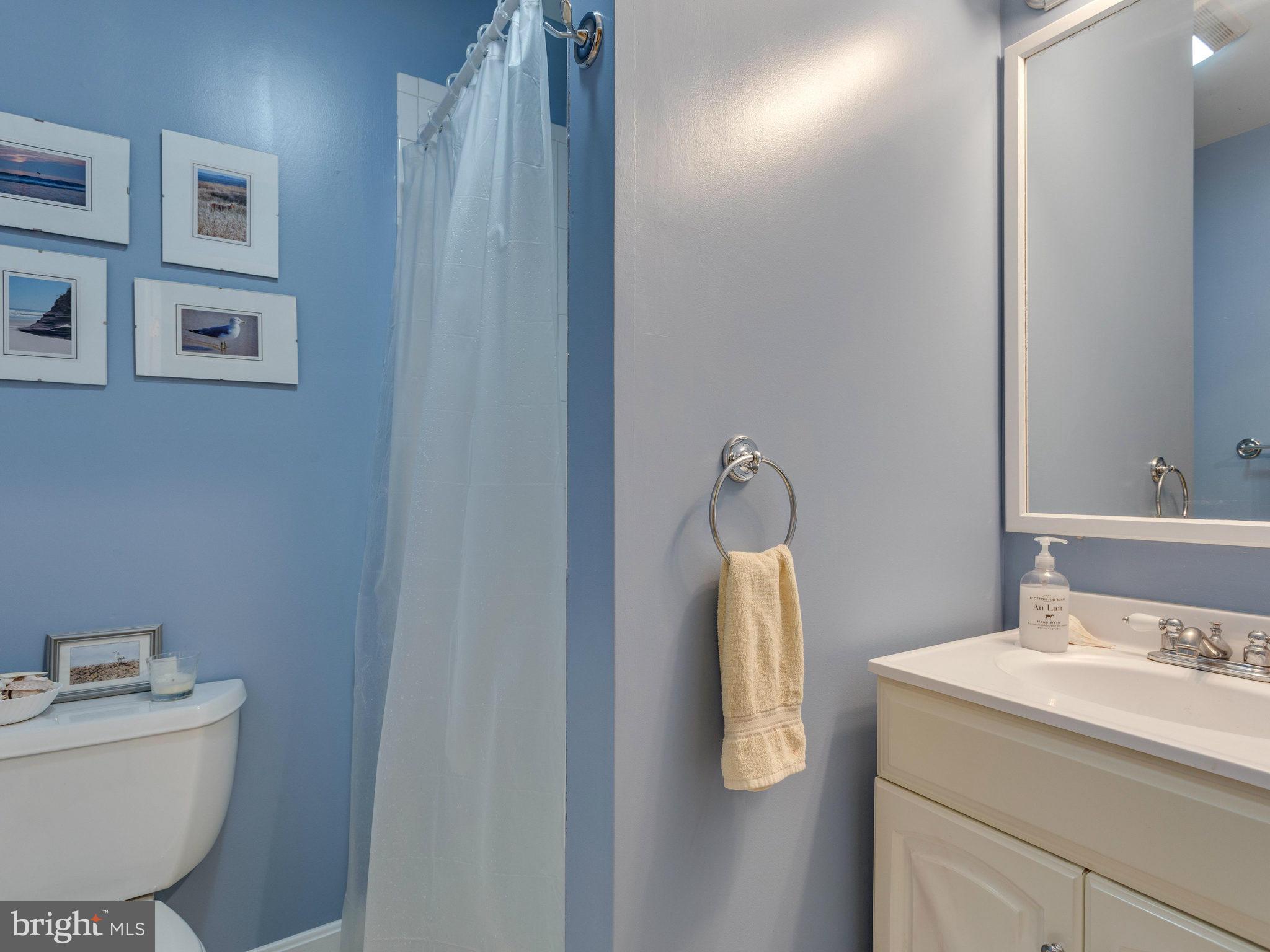 2071 South Glebe Road Arlington, VA 22206 - Photo 16 of 19 a bathroom with a sink toilet and mirror