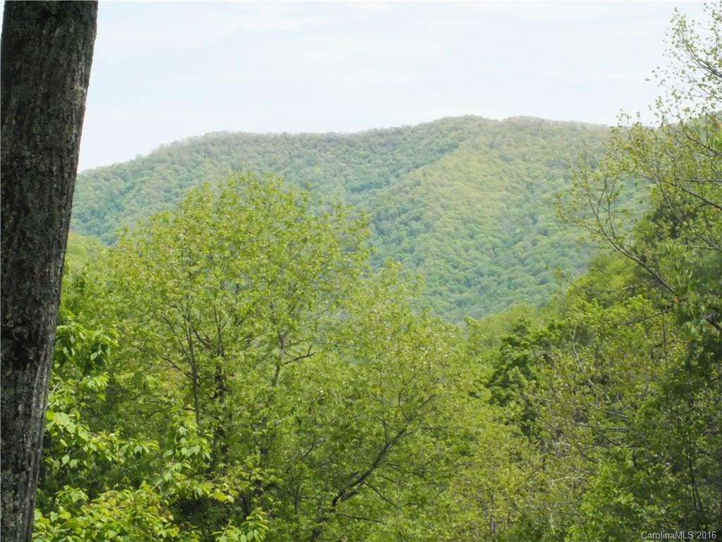 326 Long Branch Road, Unit 14A Maggie Valley, NC 28751 - Photo 13 of 24 Gallery Image 13