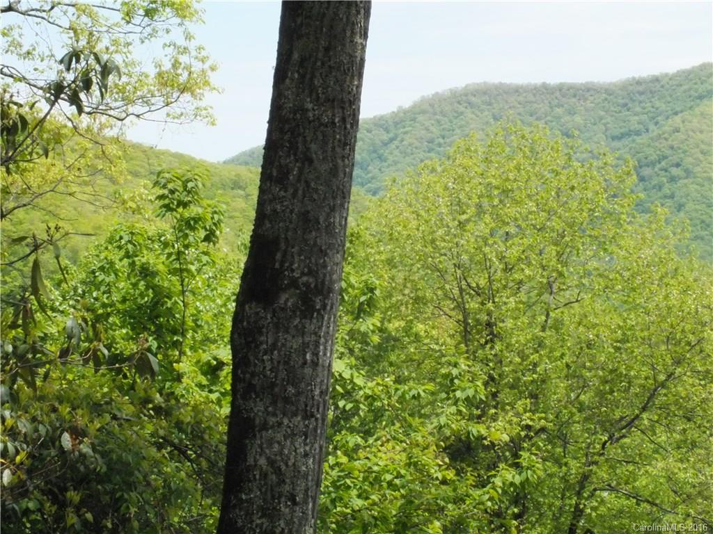 326 Long Branch Road, Unit 14A Maggie Valley, NC 28751 - Photo 14 of 24 Gallery Image 14