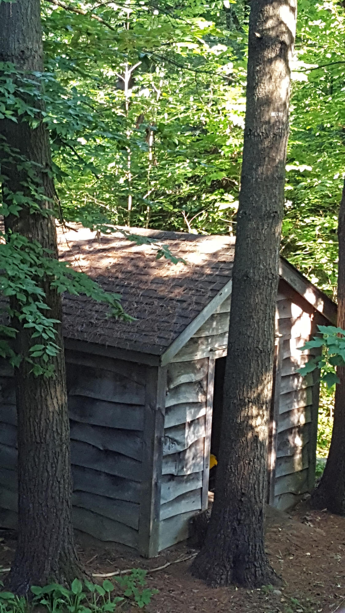 514 South Main Road Otis, MA 01253 - Photo 9 of 21 a view of outdoor space and yard