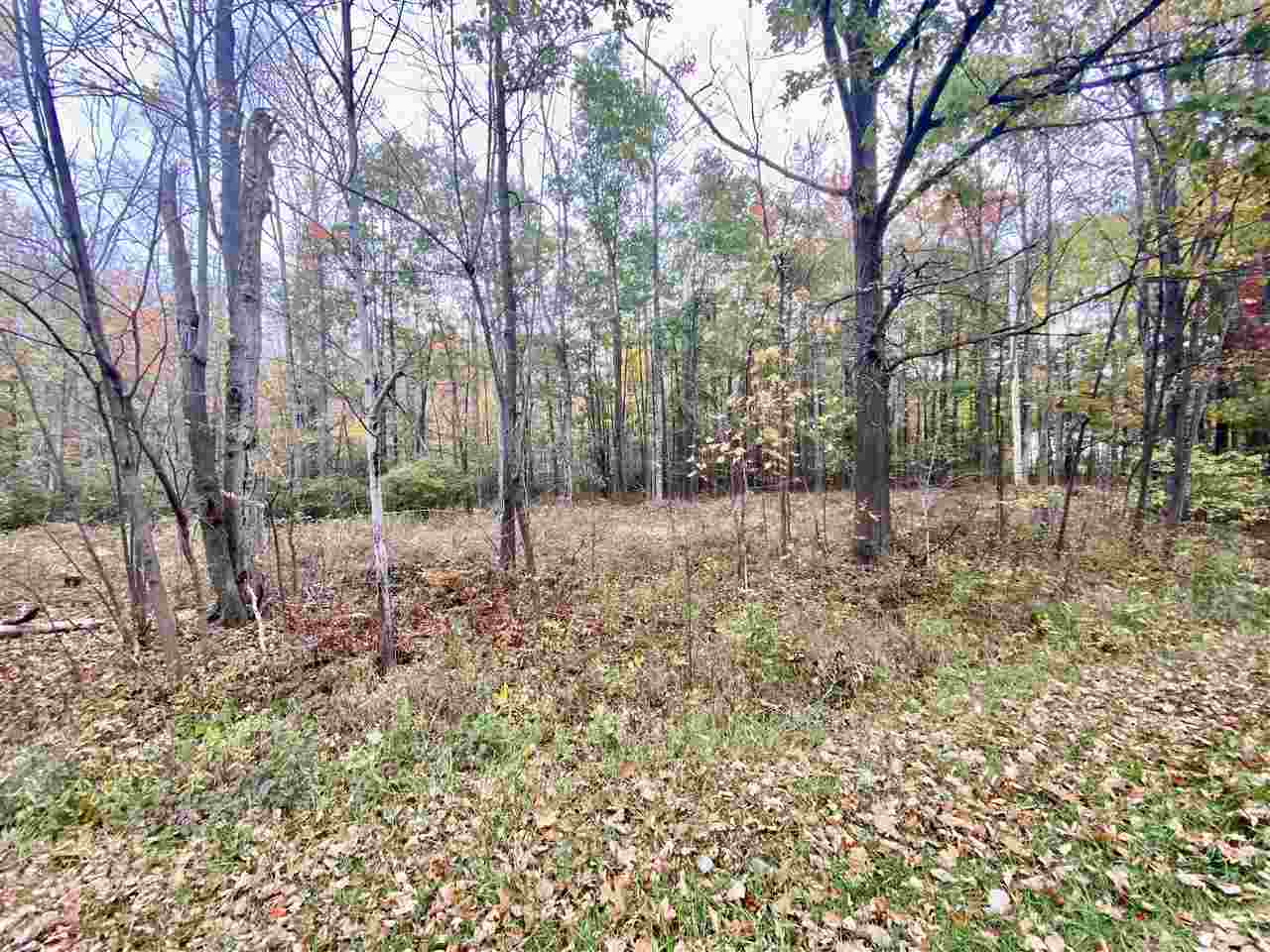 0 West Erickson Road Linwood, MI 48634 - Photo 13 of 13