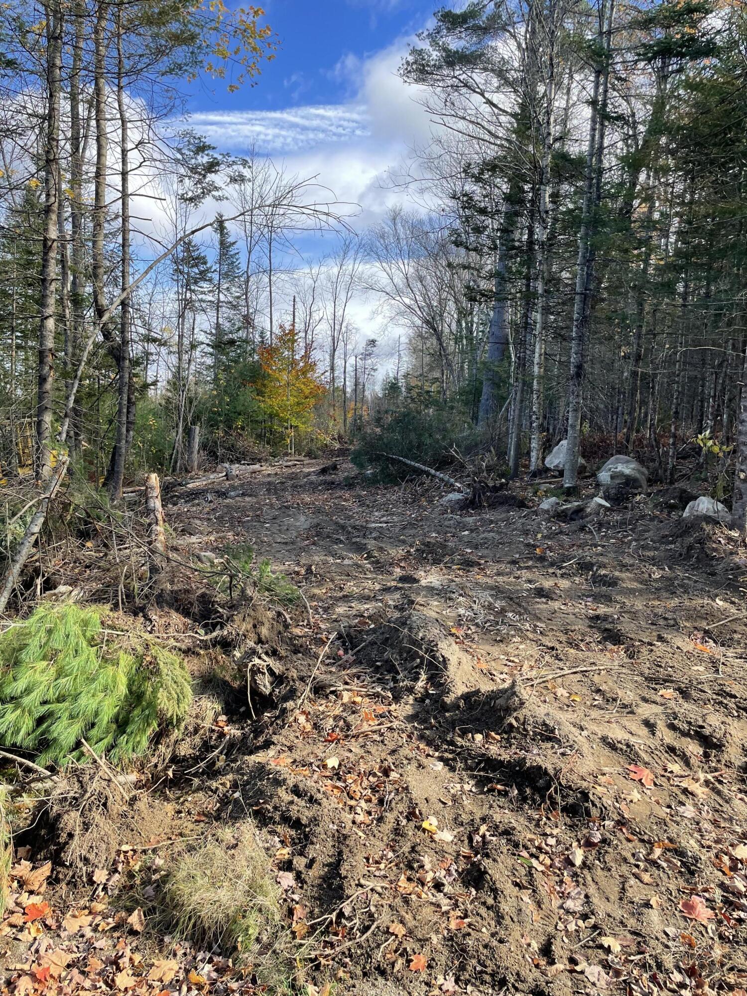 Lot 12 Farmers Hill Road Andover, ME 04216 - Photo 4 of 20 8D476A3C-E359-4CA6-9F70-5E4A8EAAE6F2
