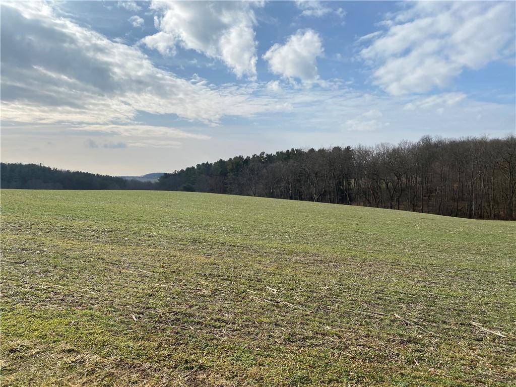 0 Heller Road Butler, PA 16002 - Photo 2 of 2