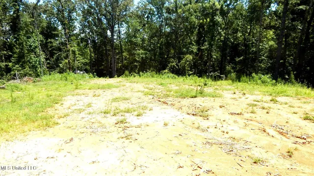 $93,000 | 240 Kimes Cove, Sardis, MS 38666