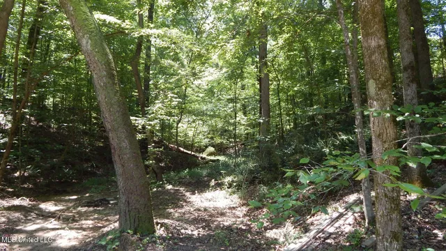 $93,000 | 240 Kimes Cove, Sardis, MS 38666