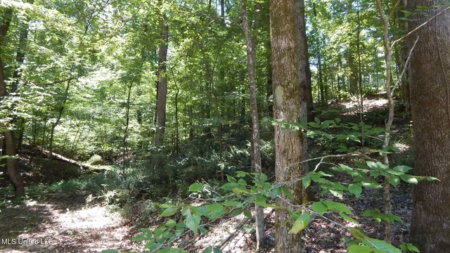 $93,000 | 240 Kimes Cove, Sardis, MS 38666