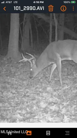 $93,000 | 240 Kimes Cove, Sardis, MS 38666