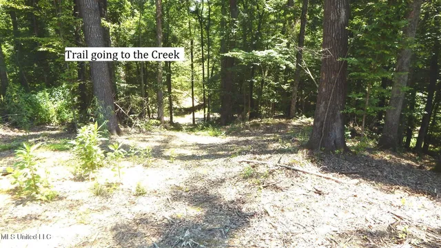 $93,000 | 240 Kimes Cove, Sardis, MS 38666