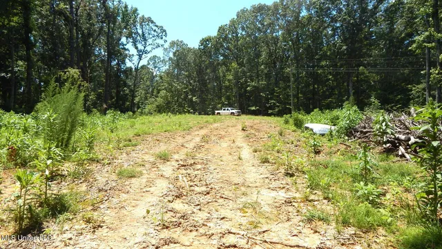 $93,000 | 240 Kimes Cove, Sardis, MS 38666