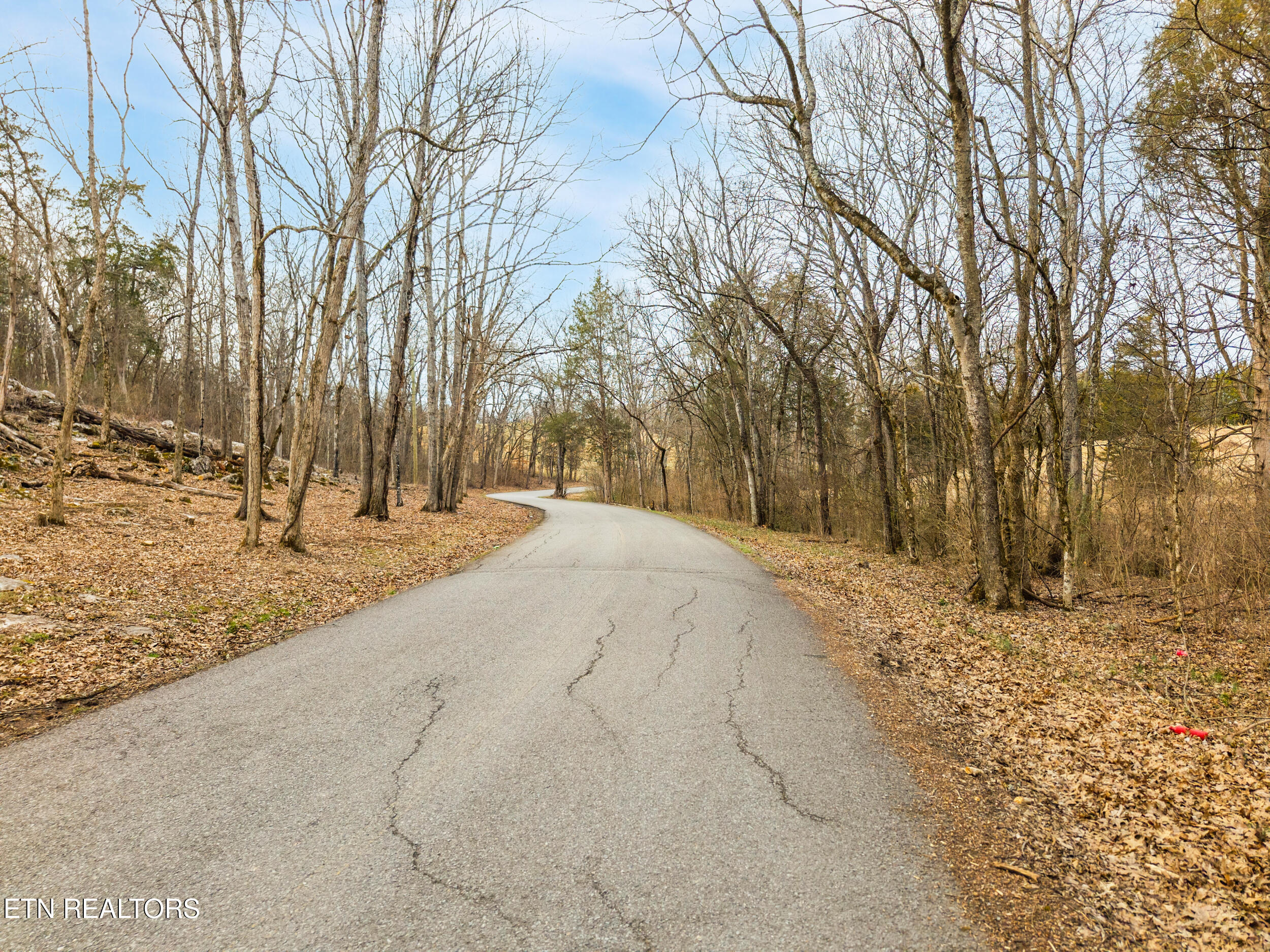 Buell Chapel Road Morristown, TN 37813 - Photo 18 of 21 19_buell_chapel_rd_0014
