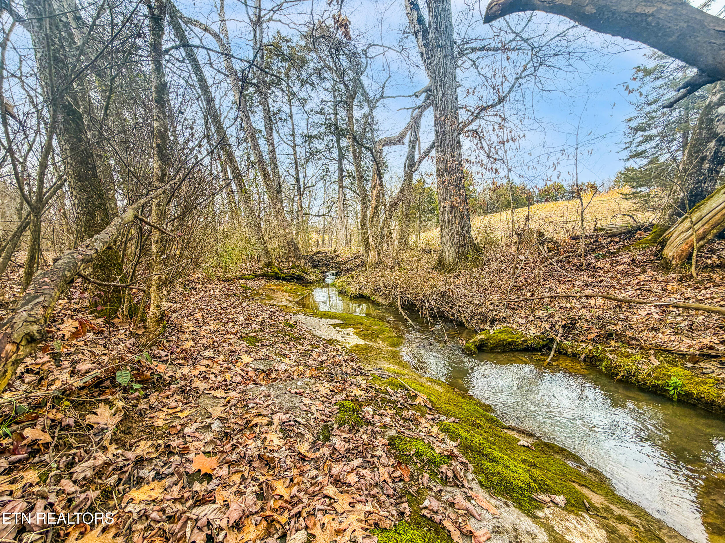 Buell Chapel Road Morristown, TN 37813 - Photo 22 of 22 22_buell_chapel_rd_0017