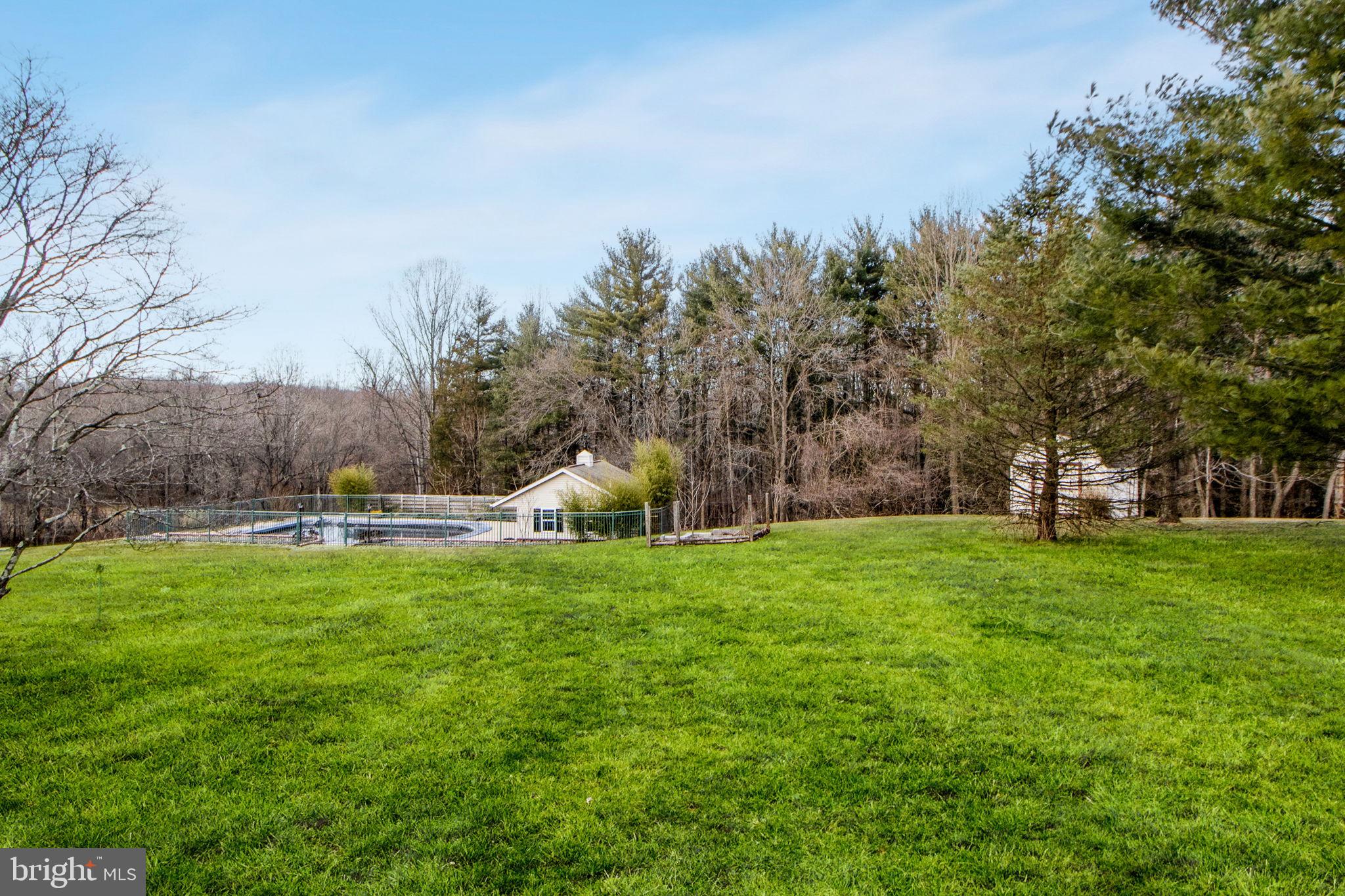 15434 Conrad Spring Road Boyds, MD 20841 - Photo 136 of 150 Backyard fully fenced pool & pool house