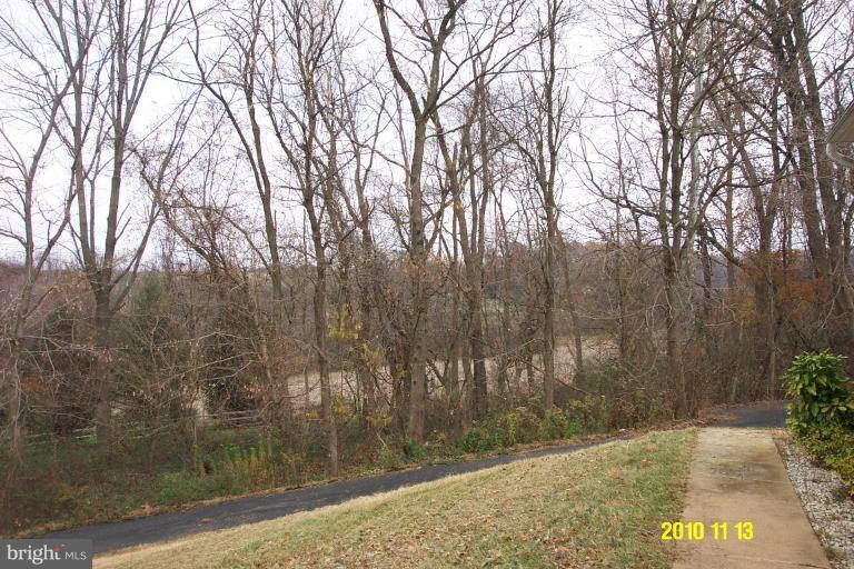 99 Horseshoe Road Rising Sun, MD 21911 - Photo 17 of 18 Wooded View / Acreage 2