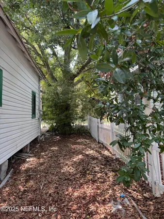 a view of a yard with plants and large trees