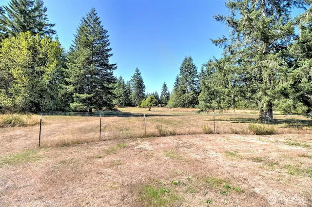a view of a backyard