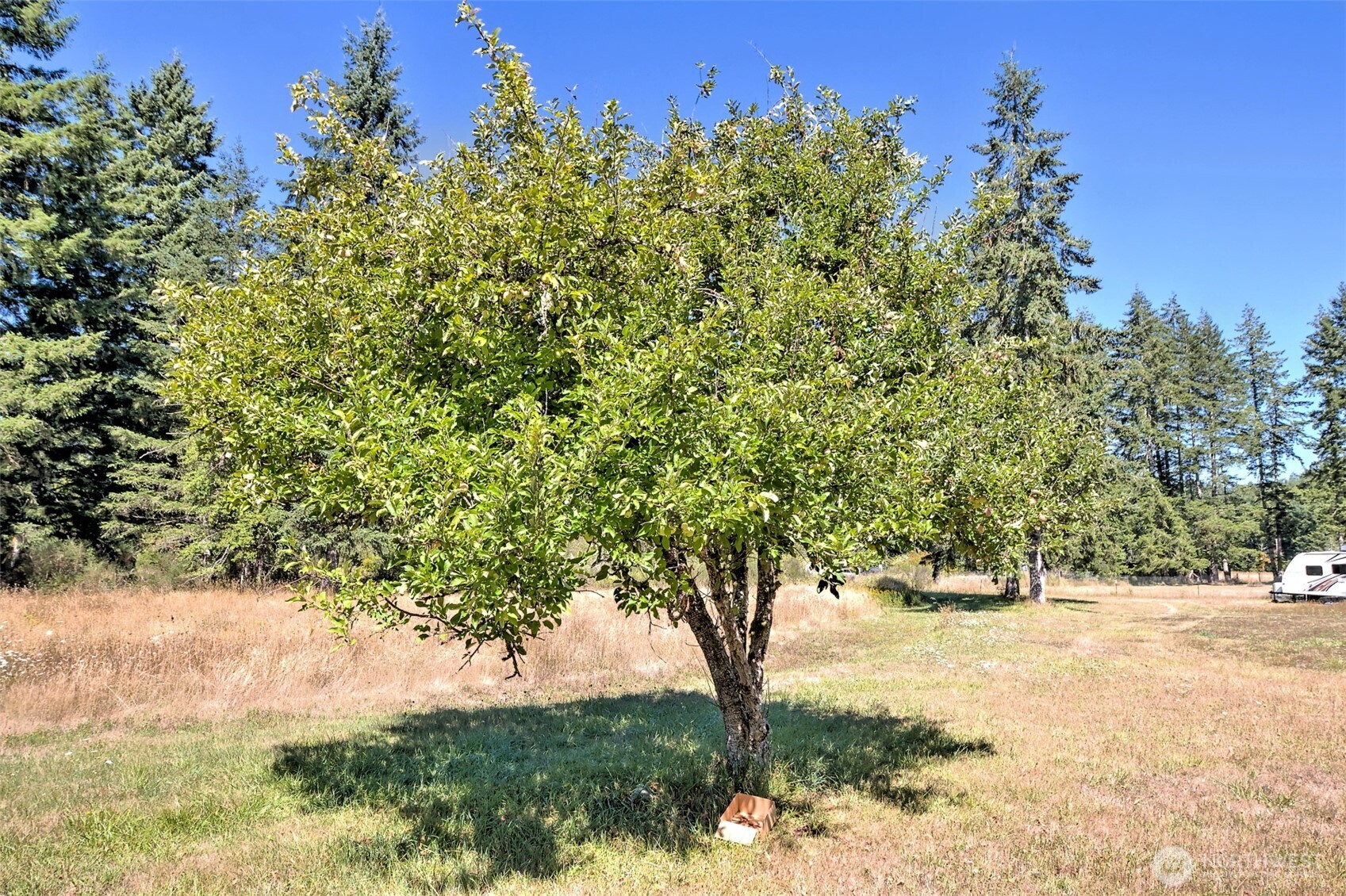 1982 West Ford Loop Road Elma, WA 98541 - Photo 21 of 29 a view of outdoor space and a yard
