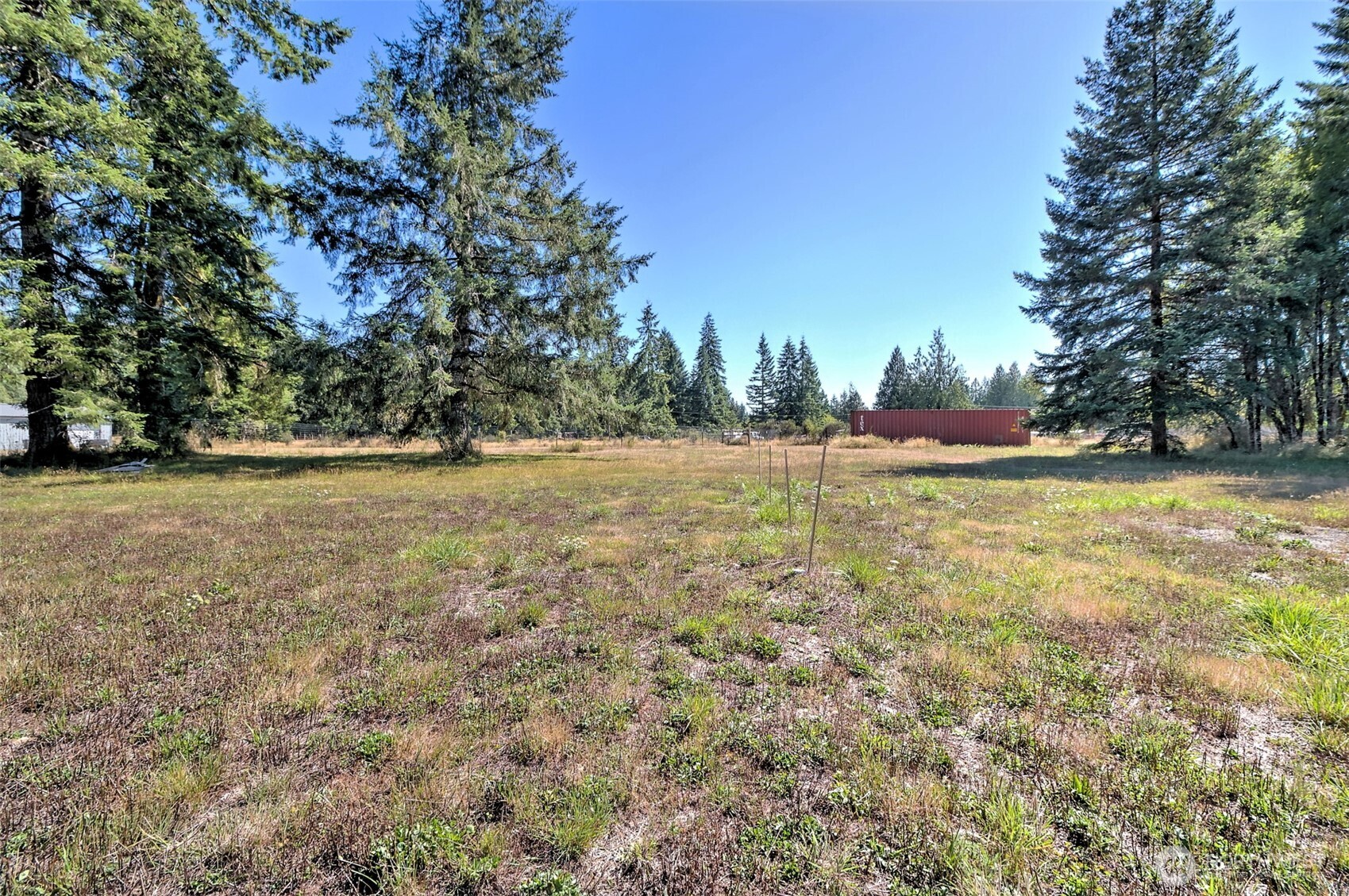 1982 West Ford Loop Road Elma, WA 98541 - Photo 23 of 29 a view of a field with trees in the background