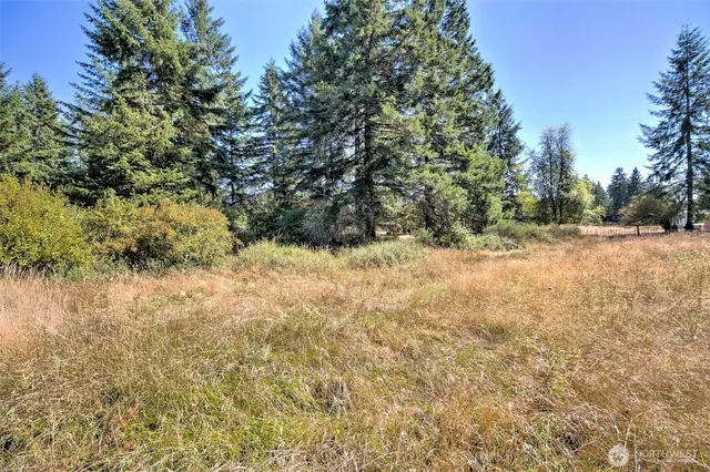 a view of yard with lake view