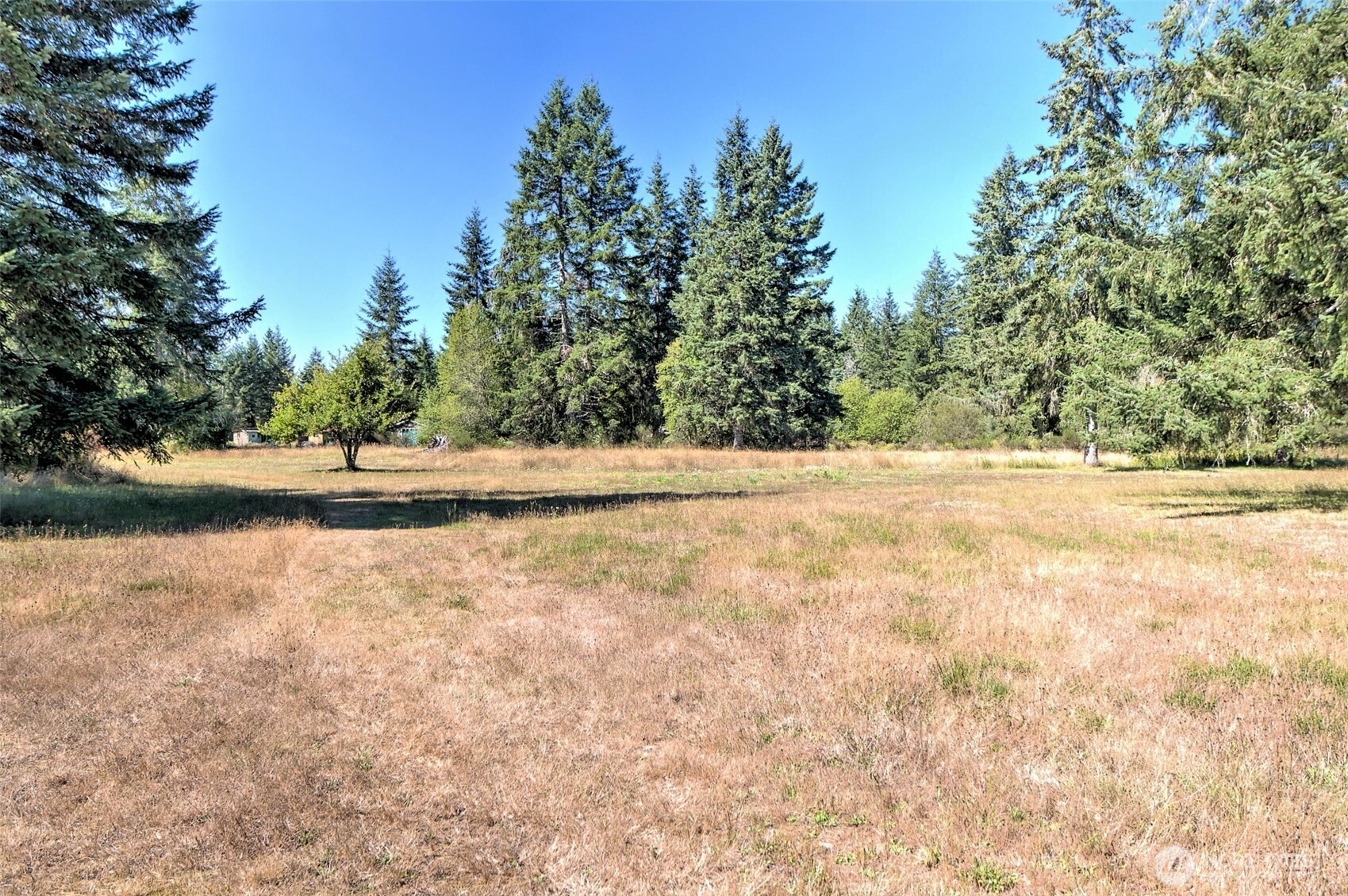 1982 West Ford Loop Road Elma, WA 98541 - Photo 26 of 29 a view of yard with lake view
