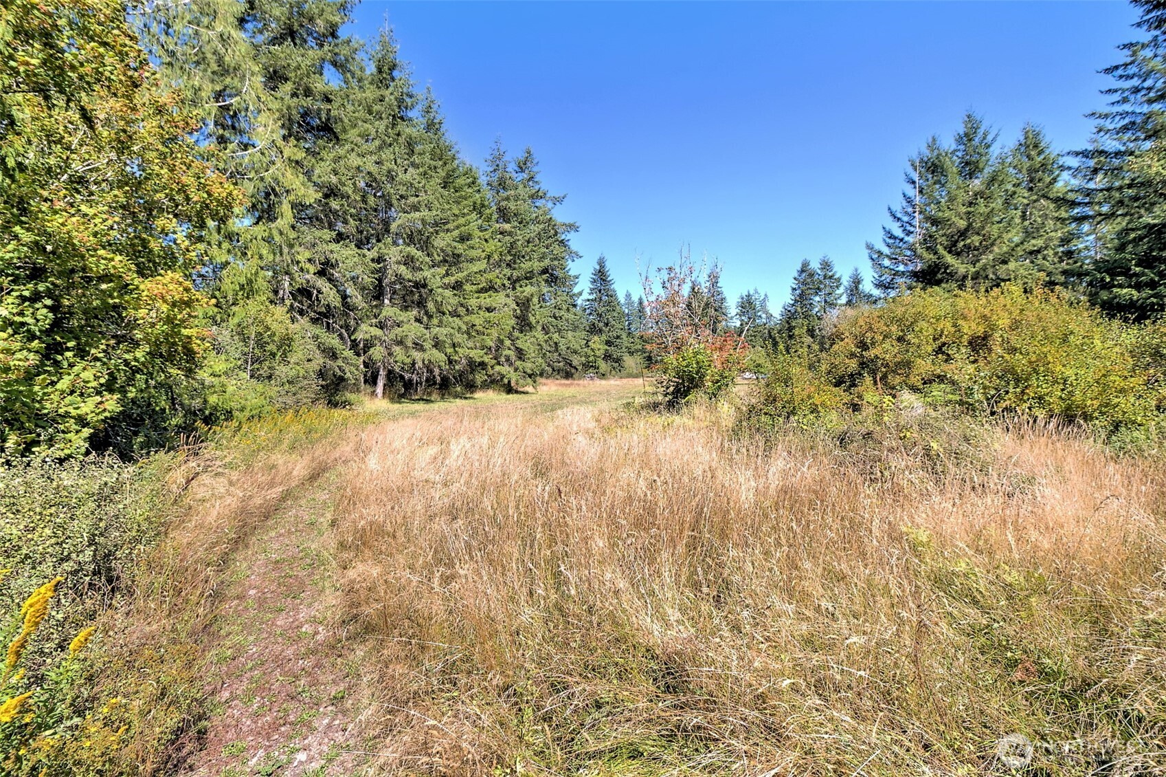 1982 West Ford Loop Road Elma, WA 98541 - Photo 27 of 29 a view of a yard with a tree