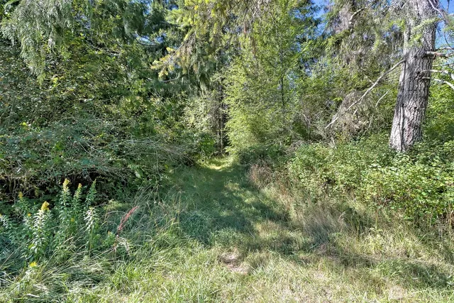 an aerial view of residential house with outdoor space and trees all around