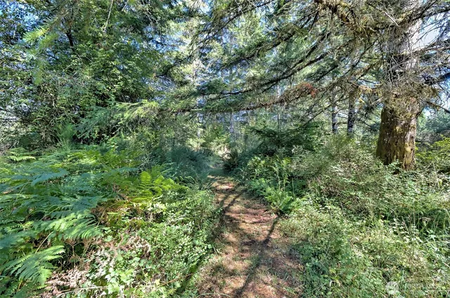 $330,000 | 1982 West Ford Loop Road, Elma, WA 98541