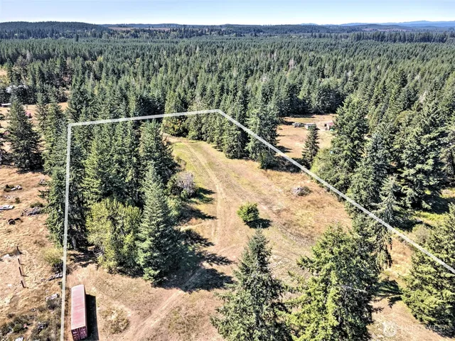 a view of a forest with a forest