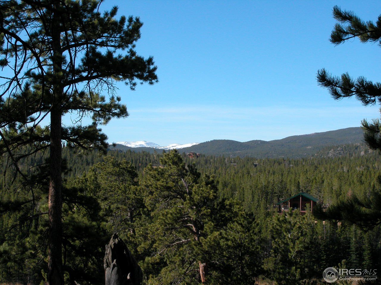 235 Swift Deer Road Red Feather Lakes, CO 80545 - Photo 16 of 18 mountain views