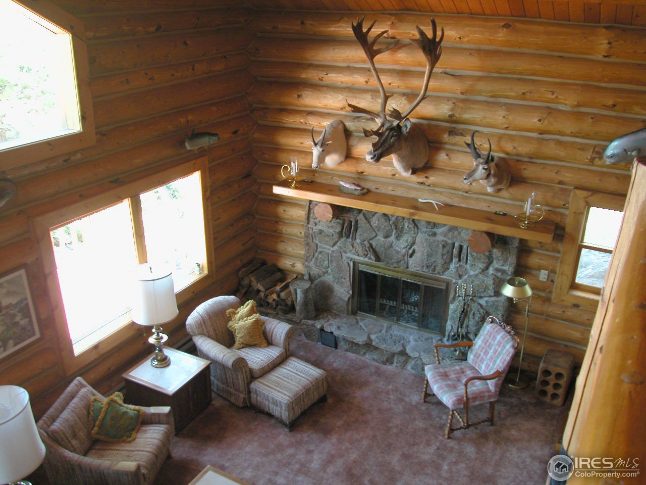235 Swift Deer Road Red Feather Lakes, CO 80545 - Photo 4 of 18 Vaulted ceiling in great room