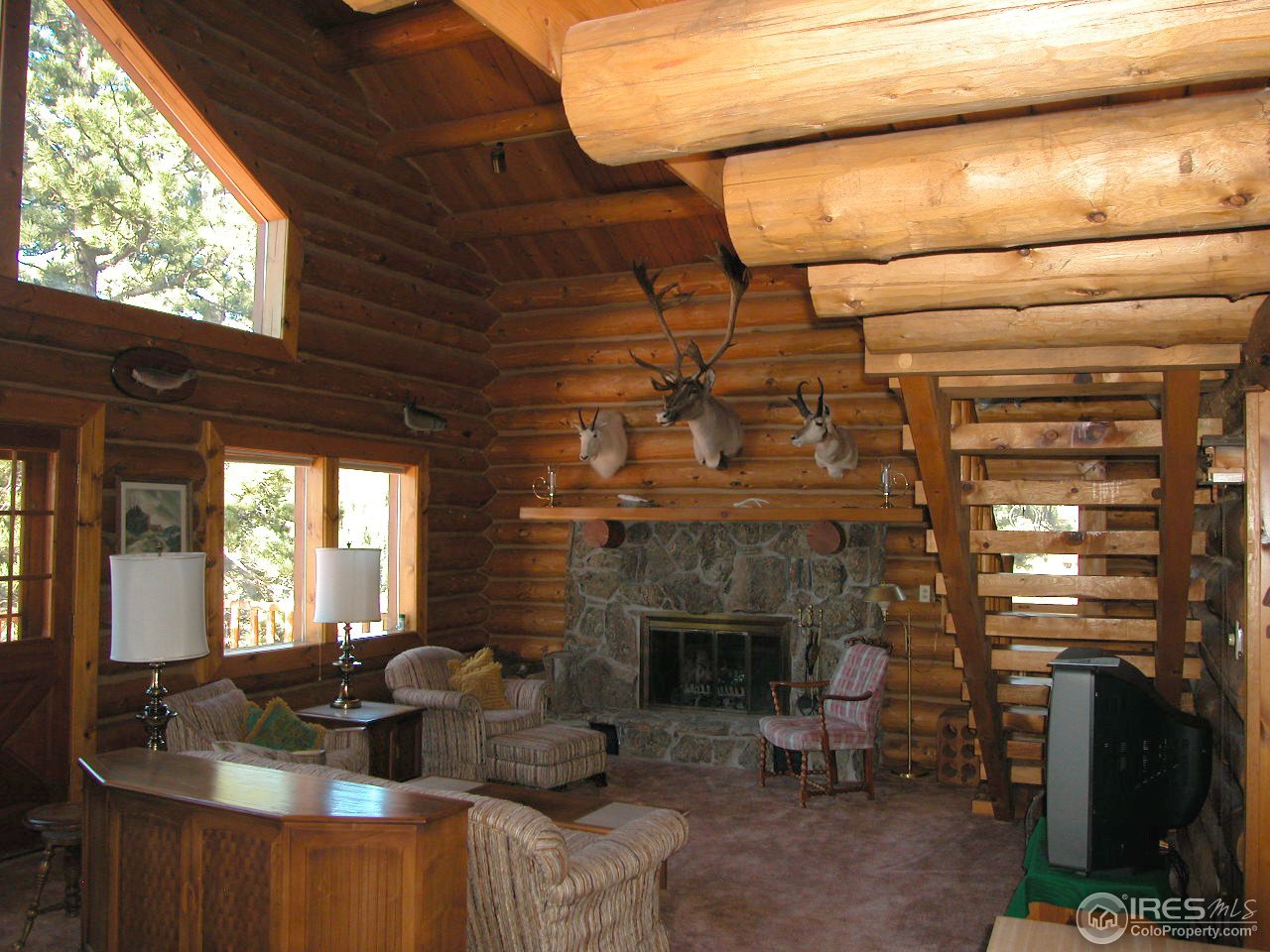 235 Swift Deer Road Red Feather Lakes, CO 80545 - Photo 5 of 18 Gallery Image 5