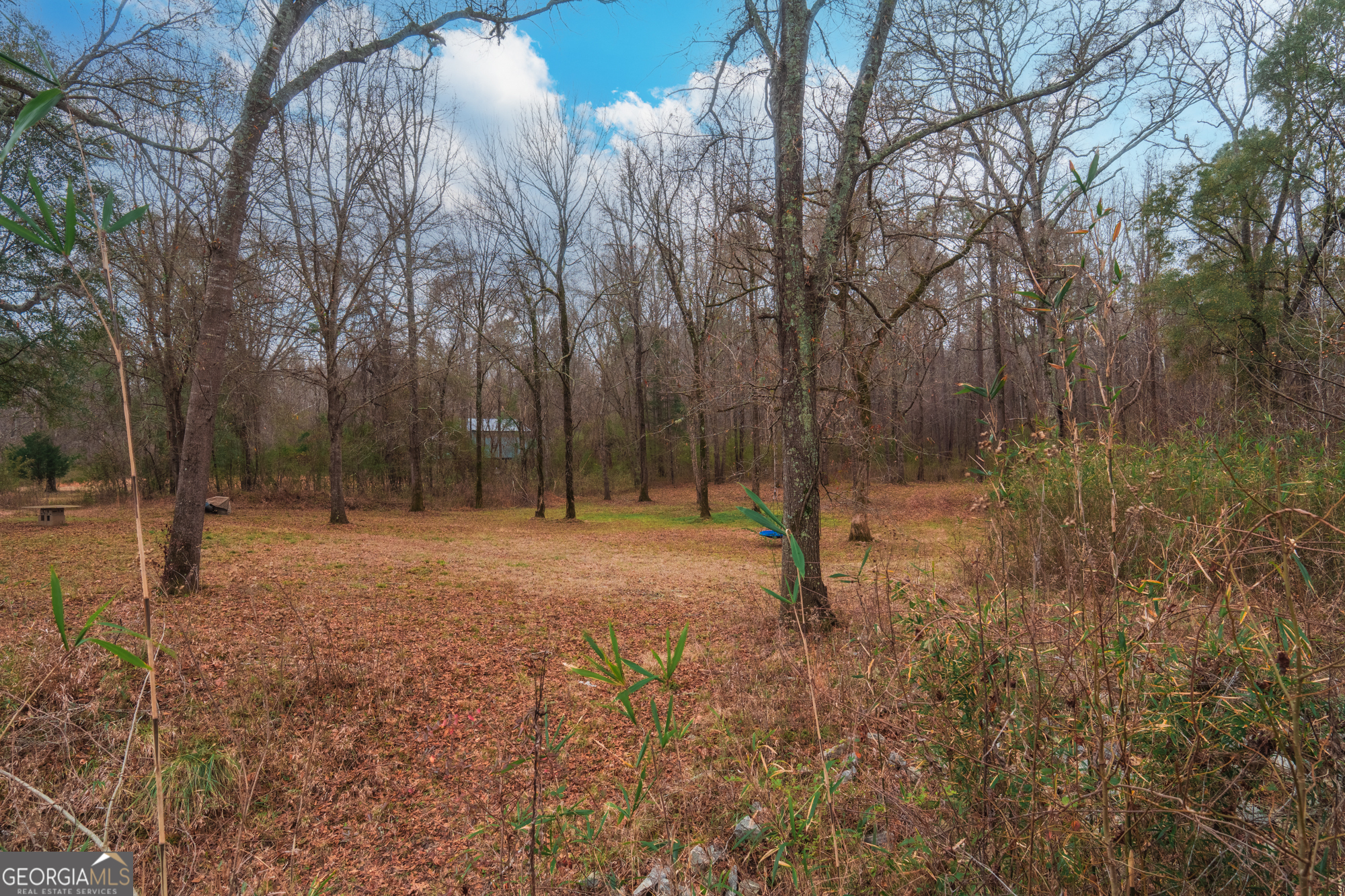 0 Turkey Run Road, Unit LOT 4 Juliette, GA 31046 - Photo 11 of 13 Gallery Image 11