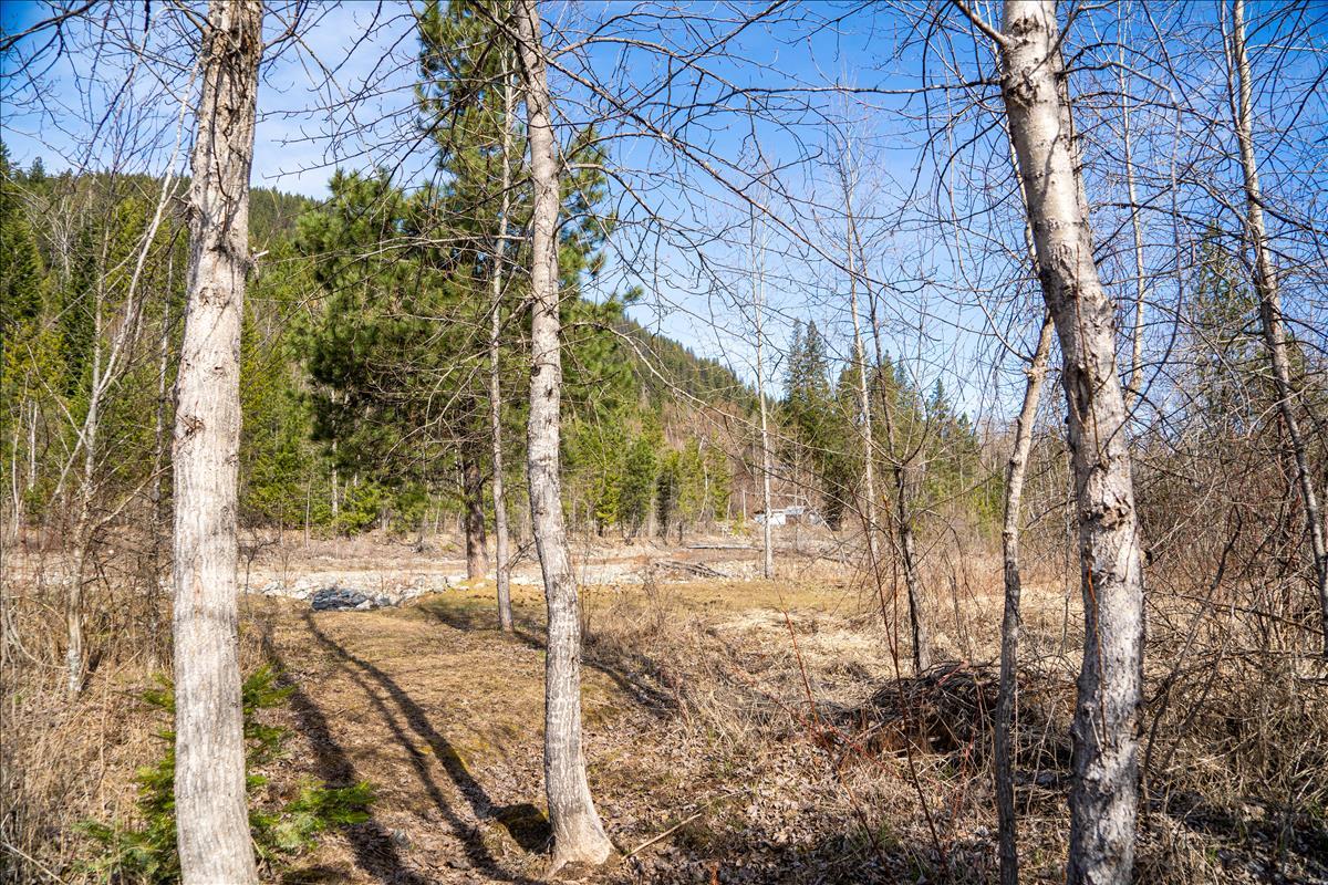 420 St Regis Road Troy, MT 59935 - Photo 6 of 22 A7C00016