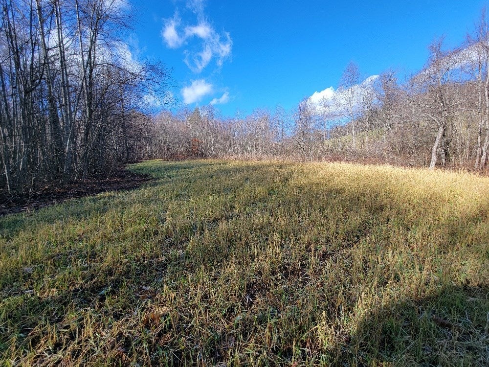 55-acres Greenberry Road Fancy Gap, VA 24328 - Photo 6 of 32 Gallery Image 6