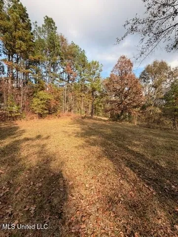 $115,000 | 1733 Smith County Road 581, Raleigh, MS 39153