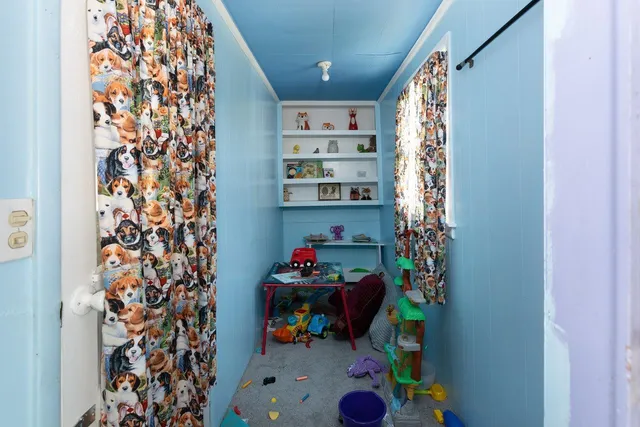 a room with furniture and a potted plant