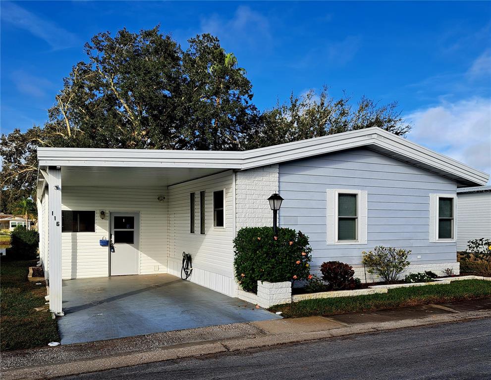 116 Maple Leaf Drive Palm Harbor, FL 34684 - Photo 1 of 38 a view of a house with a yard